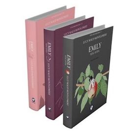 Lucy Maud Montgomery 3 Kitap Takım Rüzgarın Kızı Emily Serisi