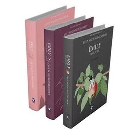 Lucy Maud Montgomery 3 Kitap Takım Rüzgarın Kızı Emily Serisi