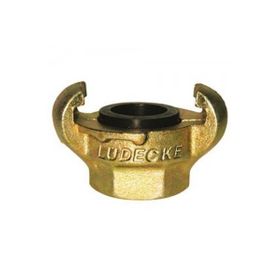 Lüdecke Kıg Tırnaklı Rekor