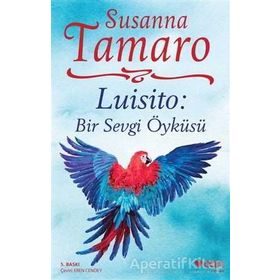 LUISITO BIR SEVGI ÖYKÜSÜ - SUSANNA TAMARO