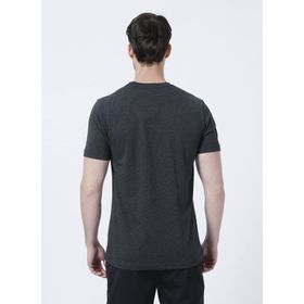 Lumberjack SN524 Diego 2FX Gri Erkek T-shirt