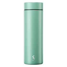 Lurch Mini Bottle Toz Boya Kaplamalı 300 ml Dark Salvia Termos