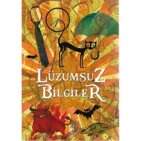 LÜZUMSUZ BILGILER - YASIN ŞEREF ASIL