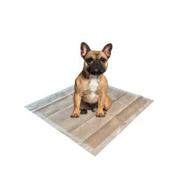 M-Pets 50'li Eco Bamboo Köpek Çiş Eğitim Pedi