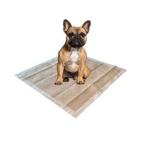 M-Pets Eco Bambu 60x90 cm 30'lu Köpek Çiş Eğitim Pedi