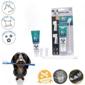 M-Pets Köpekler İçin Beyazlatıcı Diş Macunu ve Fırça Seti