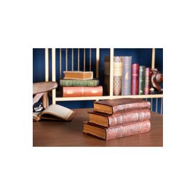 Madame Coco Gratienne Kitap Desteği