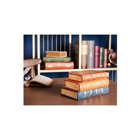 Madame Coco Jaimie Kitap Desteği