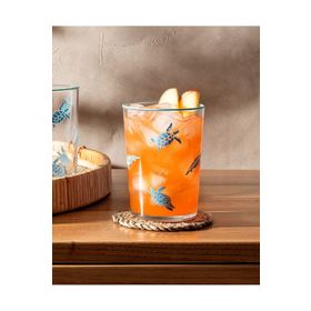 Madame Coco Pierretta 4'lü 510 ml Meşrubat Bardağı Seti