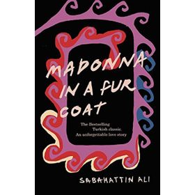 Madonna in a Fur Coat - Sabahattin Ali