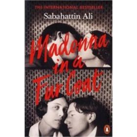 Madonna in a Fur Coat - Sabahattin Ali