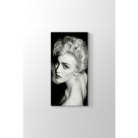 Madonna Louise Ciccone Tablosu
