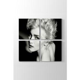 Madonna Louise Ciccone Tablosu