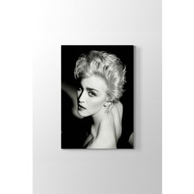 Madonna Louise Ciccone Tablosu