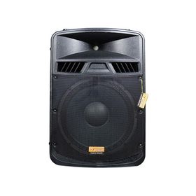 Magicvoice MV-3415 38 cm Hoparlör