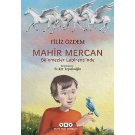 Mahir Mercan Bilinmezler Labirenti'nde - Filiz Özdem
