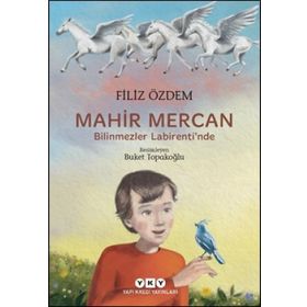 Mahir Mercan Bilinmezler Labirenti'nde - Filiz Özdem
