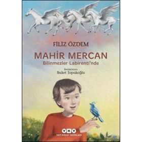 Mahir Mercan Bilinmezler Labirenti'nde - Filiz Özdem