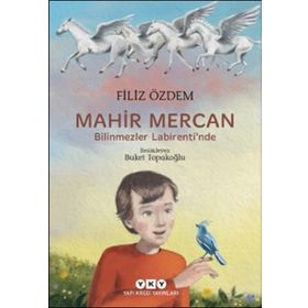 Mahir Mercan Bilinmezler Labirenti'nde - Filiz Özdem