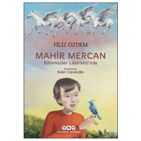 Mahir Mercan Bilinmezler Labirenti'nde - Filiz Özdem