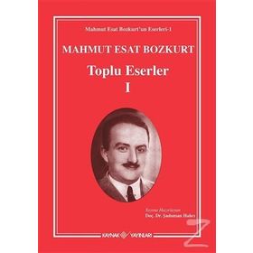 Mahmut Esat - Bozkurt Toplu Eserler 1 - Şaduman Halıcı