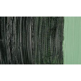 Maimeri Classico 358 Sap Green 60 ml Yağlı Boya