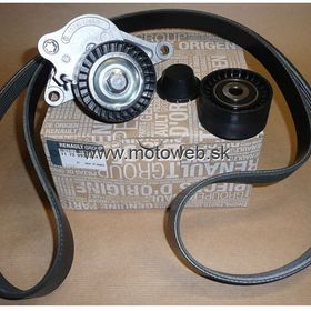 Mais 117209389R Renault Master Alternatör Gergi Seti