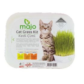 Majo Naturel Kedi Çimi