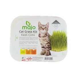 Majo Naturel Kedi Çimi