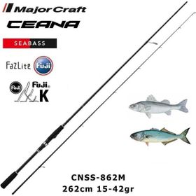 Major Craft Ceana CNSS-862M Seabass 262 cm 15-42 gr 2 Parça Spin Kamış