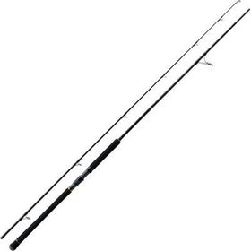 Major Craft TCX-1002H Triple Cross 305 cm 60-100 gr Shore Jigging Kamış