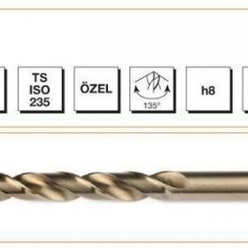 Makina Takım Hss-e Altın Seri 1 mm İnox Delme Matkap Ucu