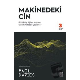 Makinedeki Cin Paul Davies Ketebe Yayınları