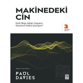 Makinedeki Cin Paul Davies Ketebe Yayınları
