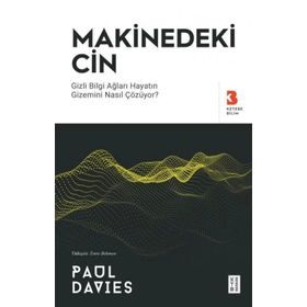 Makinedeki Cin Paul Davies Ketebe Yayınları