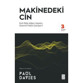 Makinedeki Cin Paul Davies Ketebe Yayınları