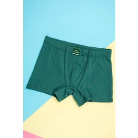 Malabadi 074 Yeşil Penye Erkek Boxer