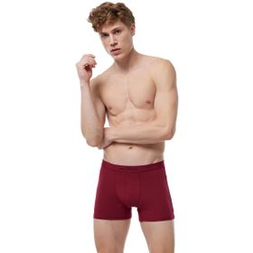 Malabadi 075 Bordo Erkek Boxer