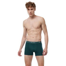 Malabadi 075 Yeşil Erkek Boxer