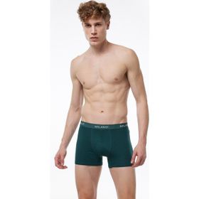 Malabadi 075 Yeşil Erkek Boxer