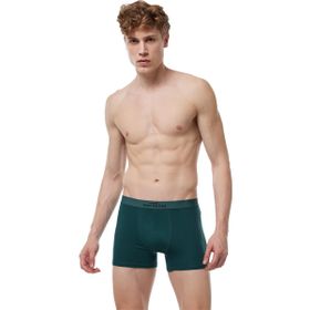 Malabadi 075 Yeşil Erkek Boxer