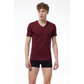 Malabadi Yaz Serinliği Bordo V Yaka Erkek T-Shirt