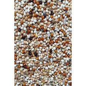 Malatya 5 kg Ekmeksiz Özel Muhabbet Kuşu Yemi