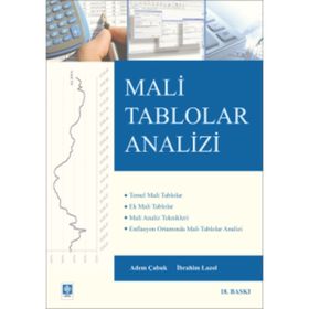 MALI TABLOLAR ANALIZI - ÖZTIN AKGÜÇ