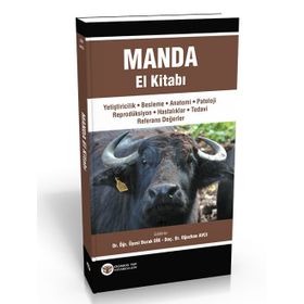 Manda El Kitabı - Kolektif