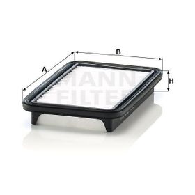 Mann C24019 Hava Filtresi