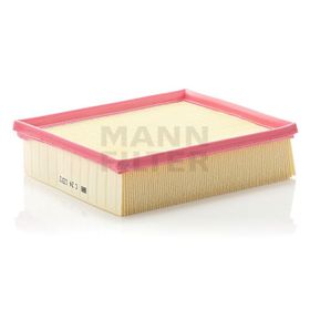 Mann C24123-2 Hava Filtresi