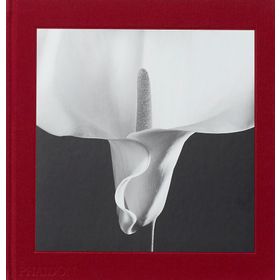 Mapplethorpe Flora : The Complete Flowers - Kolektif