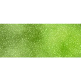 Marabu Fashion Shimmer 100 ml 560 Reseda Spray Kumaş Boyası