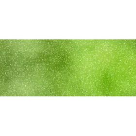 Marabu Fashion Shimmer 100 ml 560 Reseda Spray Kumaş Boyası